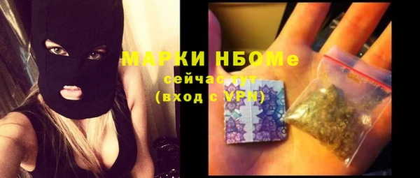 прущие грибы Баксан