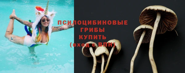 дживик Аркадак
