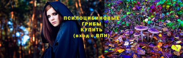 дживик Аркадак