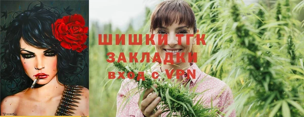 прущие грибы Баксан
