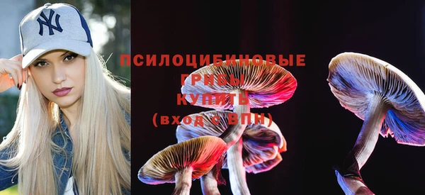 дживик Аркадак
