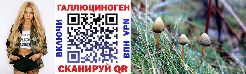 хочу наркоту  Людиново  Псилоцибиновые грибы мицелий 